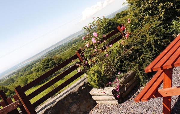 Hafoty Farm Cottages Caernarfon Exterior foto